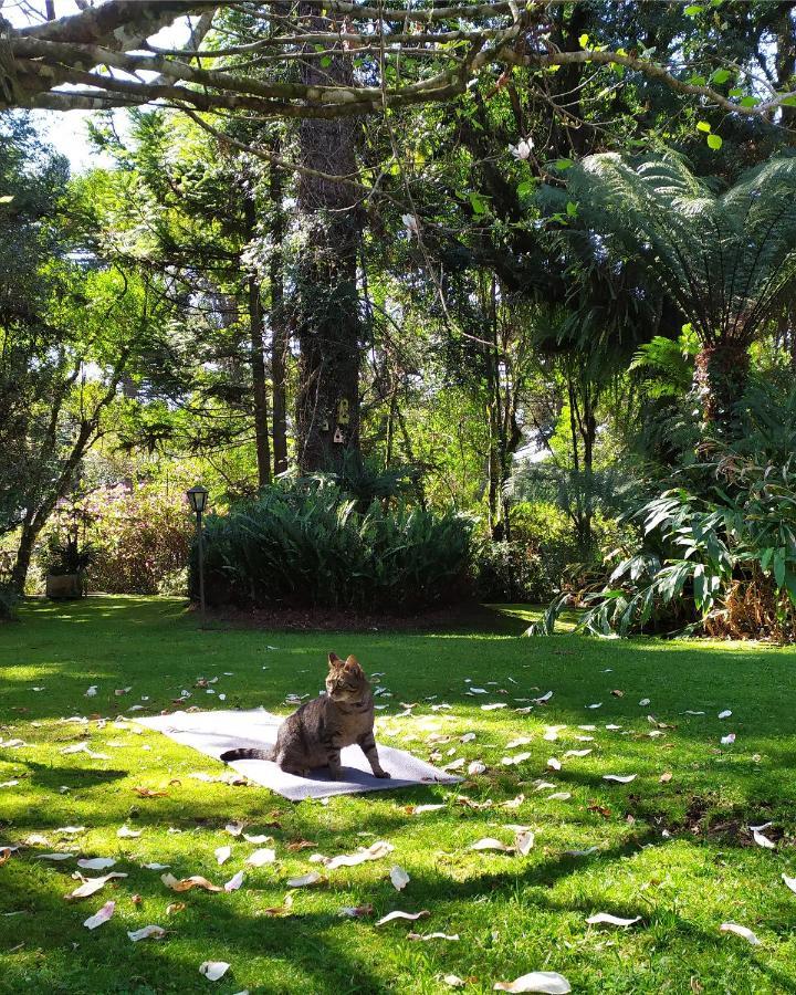 Casa Goldoni Gramado 4 Quartos ภายนอก รูปภาพ